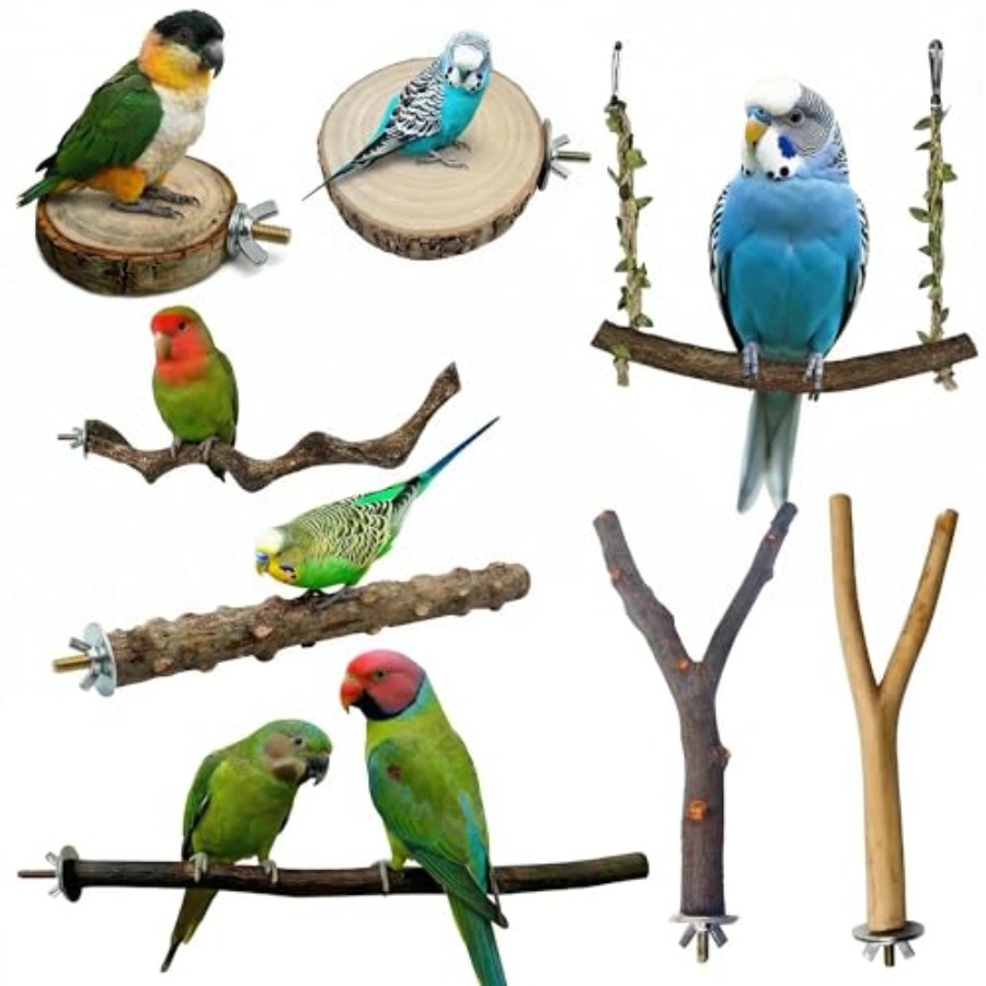 Health & Wellness Unlimited - 8 stuks natuurlijke houten vogelzitstokken voor